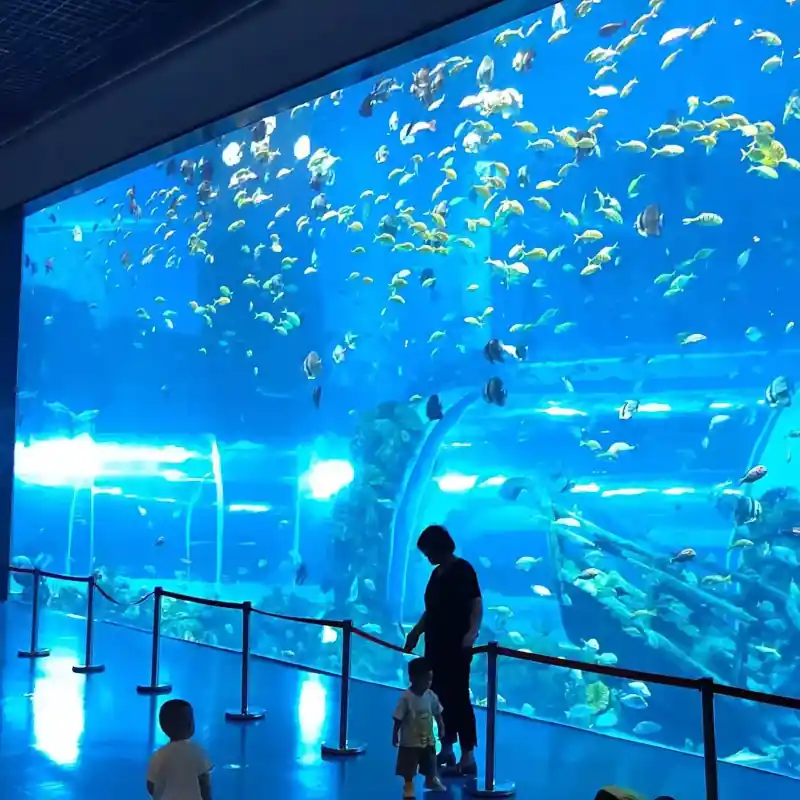 Smart home aquarium: Large, modern fish tank with coral reef ecosystem and integrated information displays in a contemporary living room.
