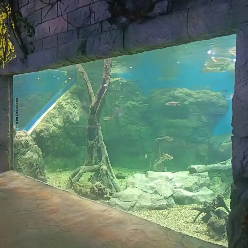 Quality control inspection of a large, curved acrylic aquarium panel by a skilled craftsman. Focus on detail, precision, and manufacturing excellence.