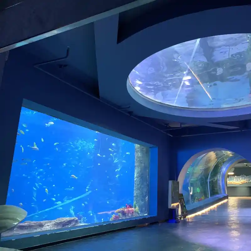Modern home with a large, built-in acrylic aquarium as a captivating wall feature